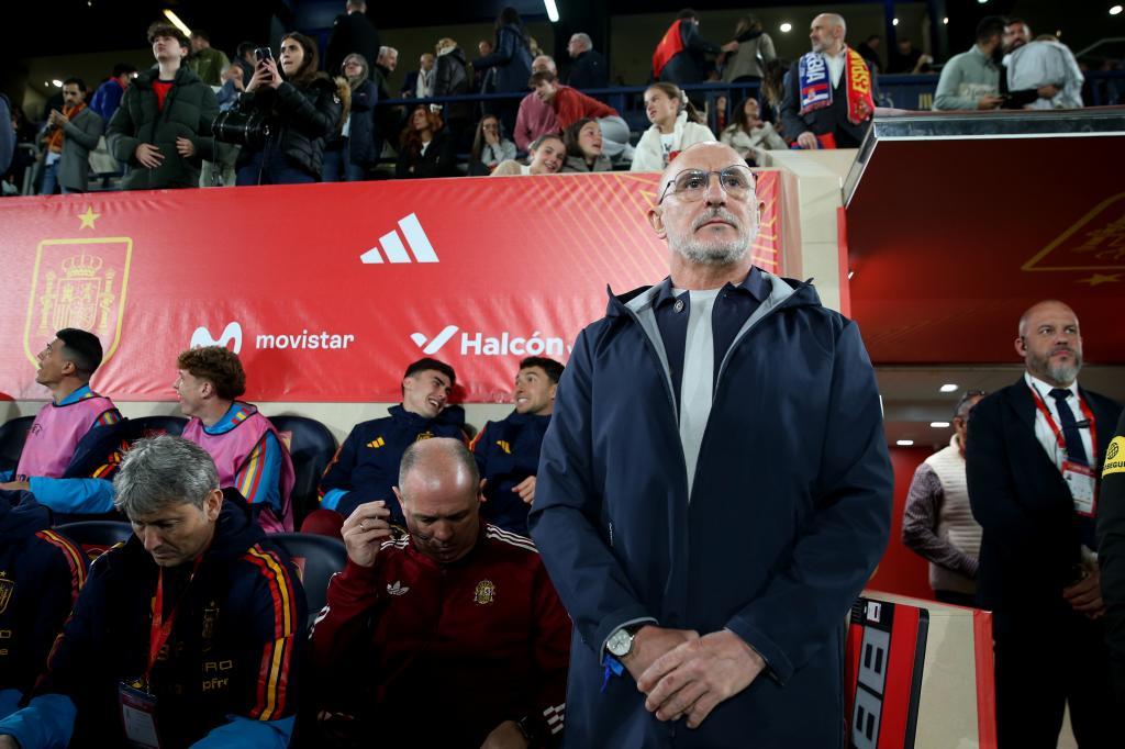 Spain's head coach Luis de la Fuente.