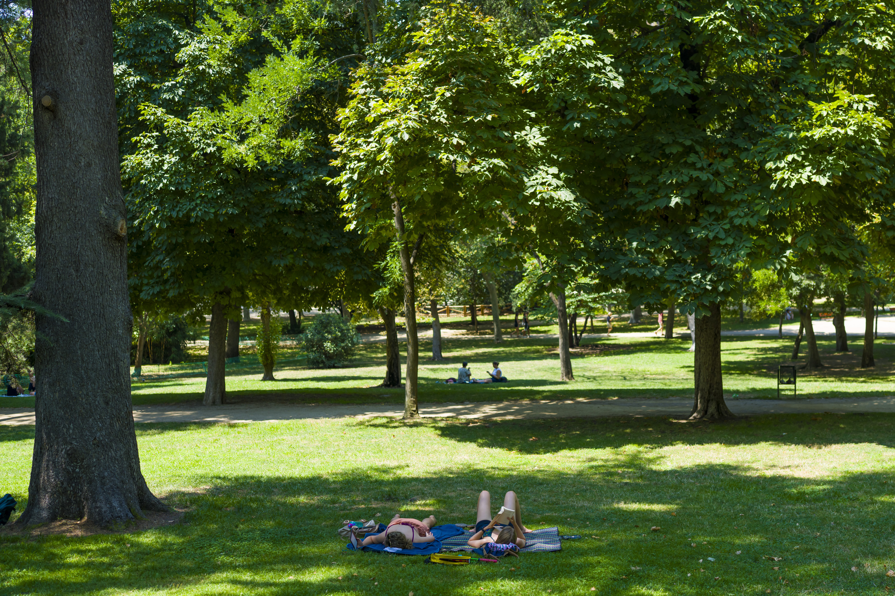 El Retiro Park in Madrid.