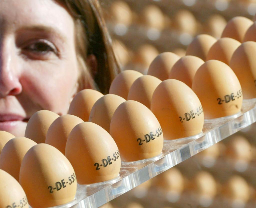 Some eggs.