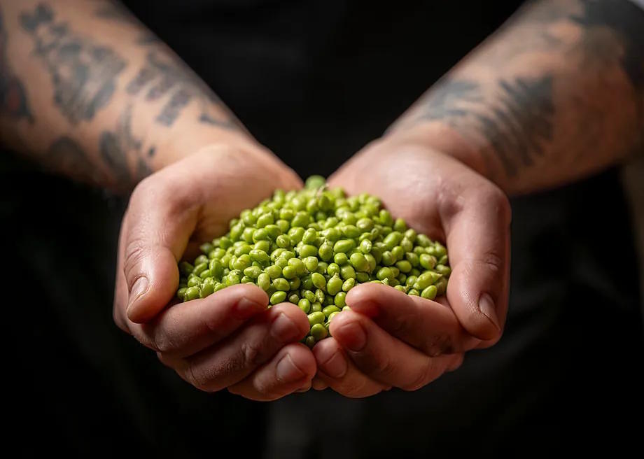 The "tear peas" accompanying the kokotxas al pil pil, one of the dishes on the tasting menu at La Sociedad Gastronomika.
