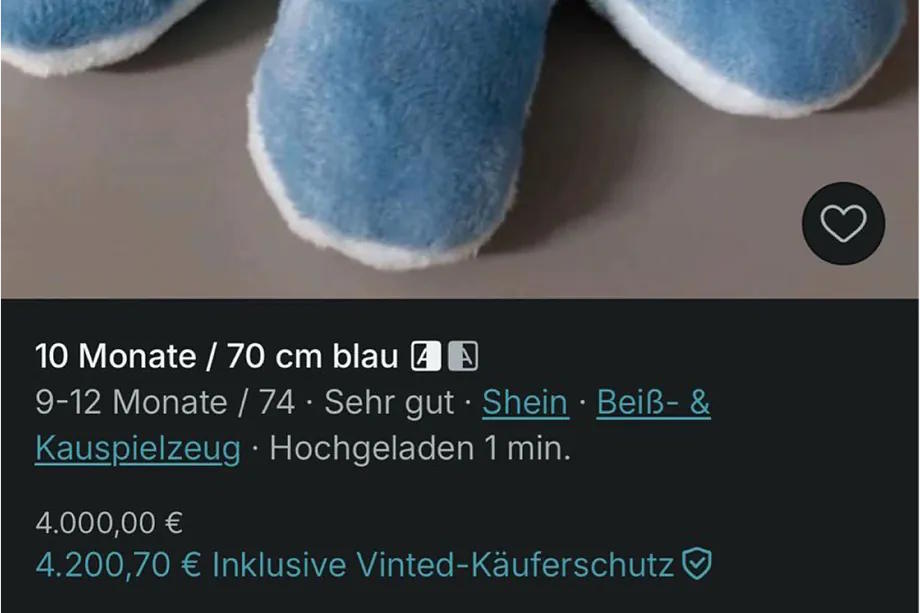 Publication of a plush toy on Vinted, priced at 4,200 euros.
