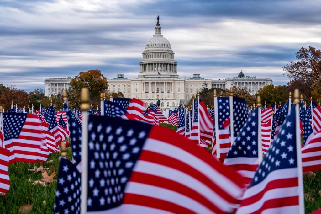 Miniature American flags flutter in wind gusts across the National Mall near the Capitol in Washington