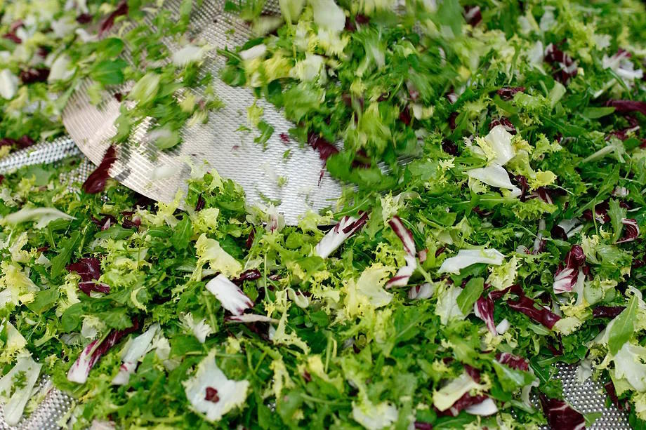 Outbreaks of this disease usually occur due to the consumption of contaminated fresh fruits and vegetables.