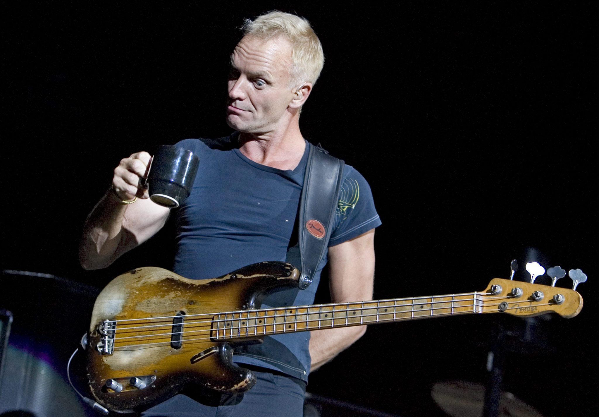 Sting in a file photo.