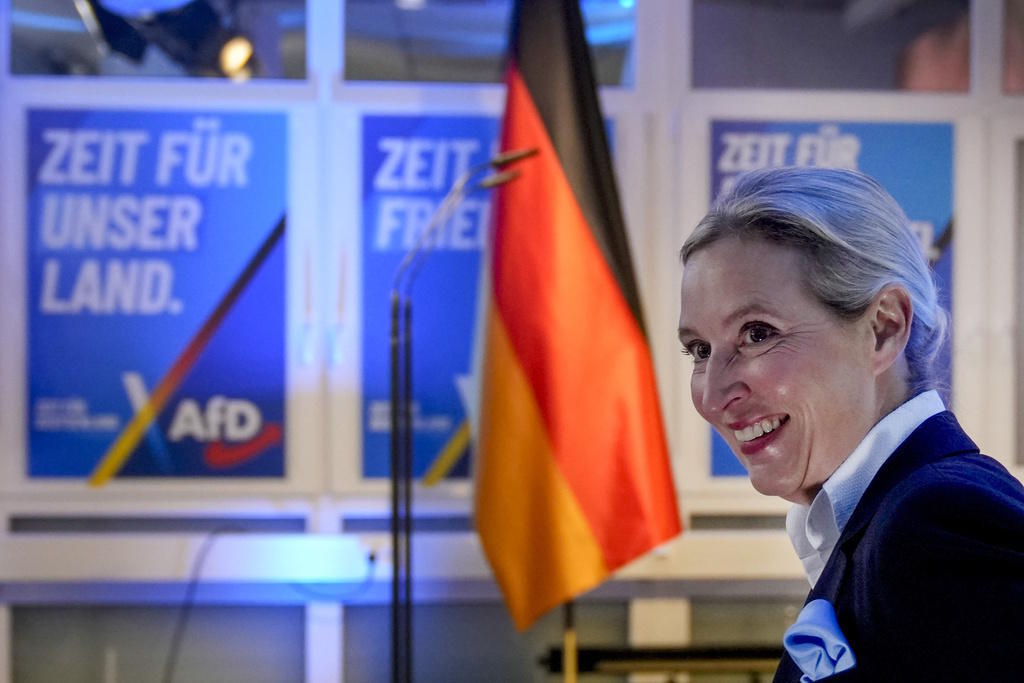 The leader of the far-right party Alternative for Germany (AfD), Alice Weidel, in a file photo.