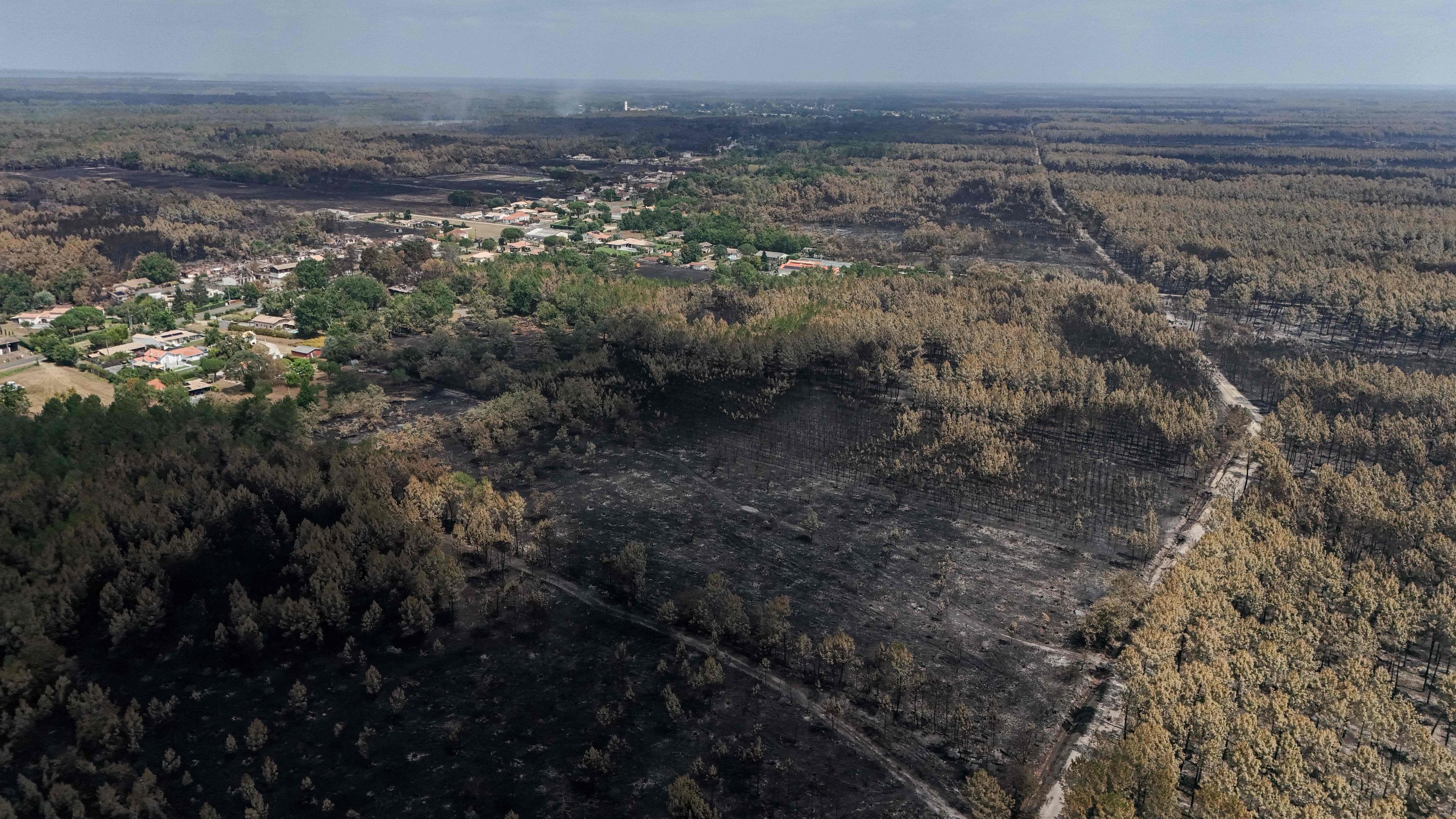 This aerial view shows a burnt area in the town of Le Porge, following a wildfire in the Gironde Department, south-western France.