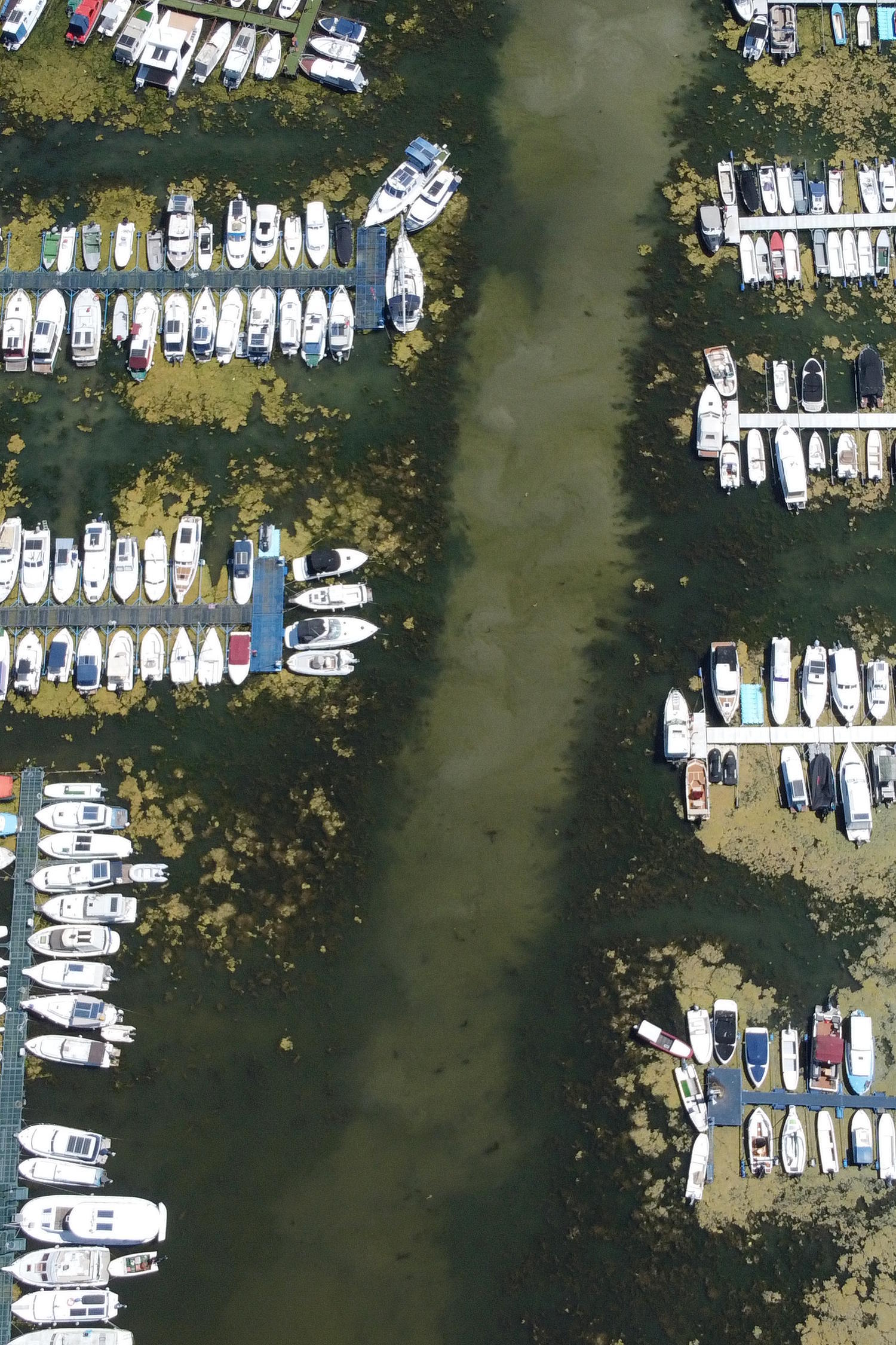 Boats sit on dry ground as water levels have dropped on the Danube River in Novi Sad, Serbia.