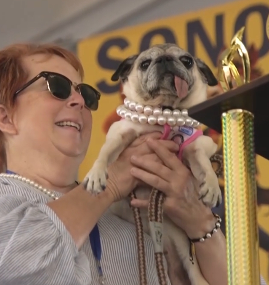 Jinny Lu, the ugliest dog in the world.