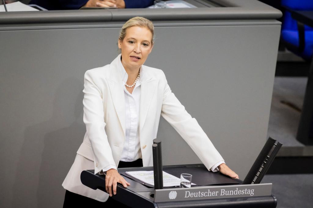 Federal chairwoman and parliamentary group leader of the AfD Alice Weidel