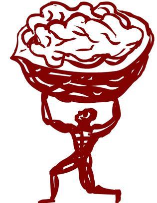 An athlete is holding a walnut, a food with cardioprotective properties.