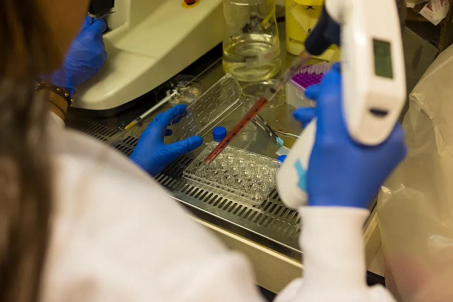 Several female researchers are working in a laboratory.