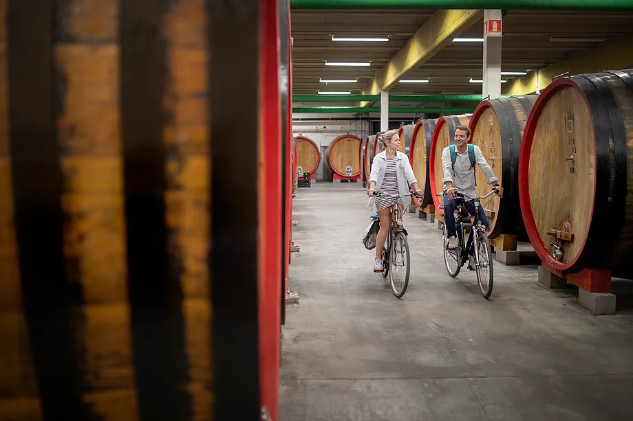 Cycling through one of the wineries on the route.