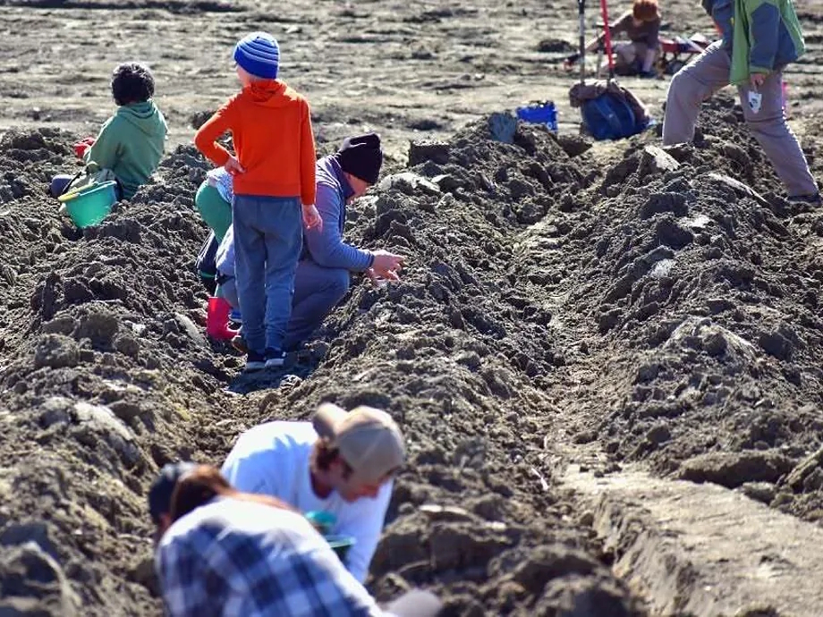 Every year, about 120,000 people visit the park near the town of Murfreesboro.