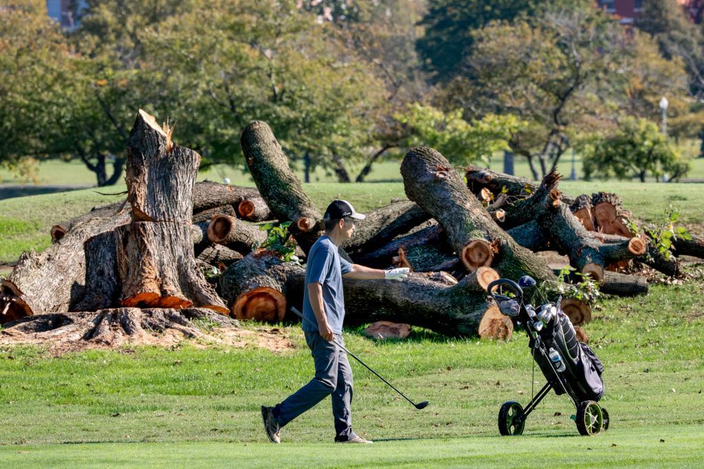 A golfer walks near cut tree logs at East Potomac Golf Links,