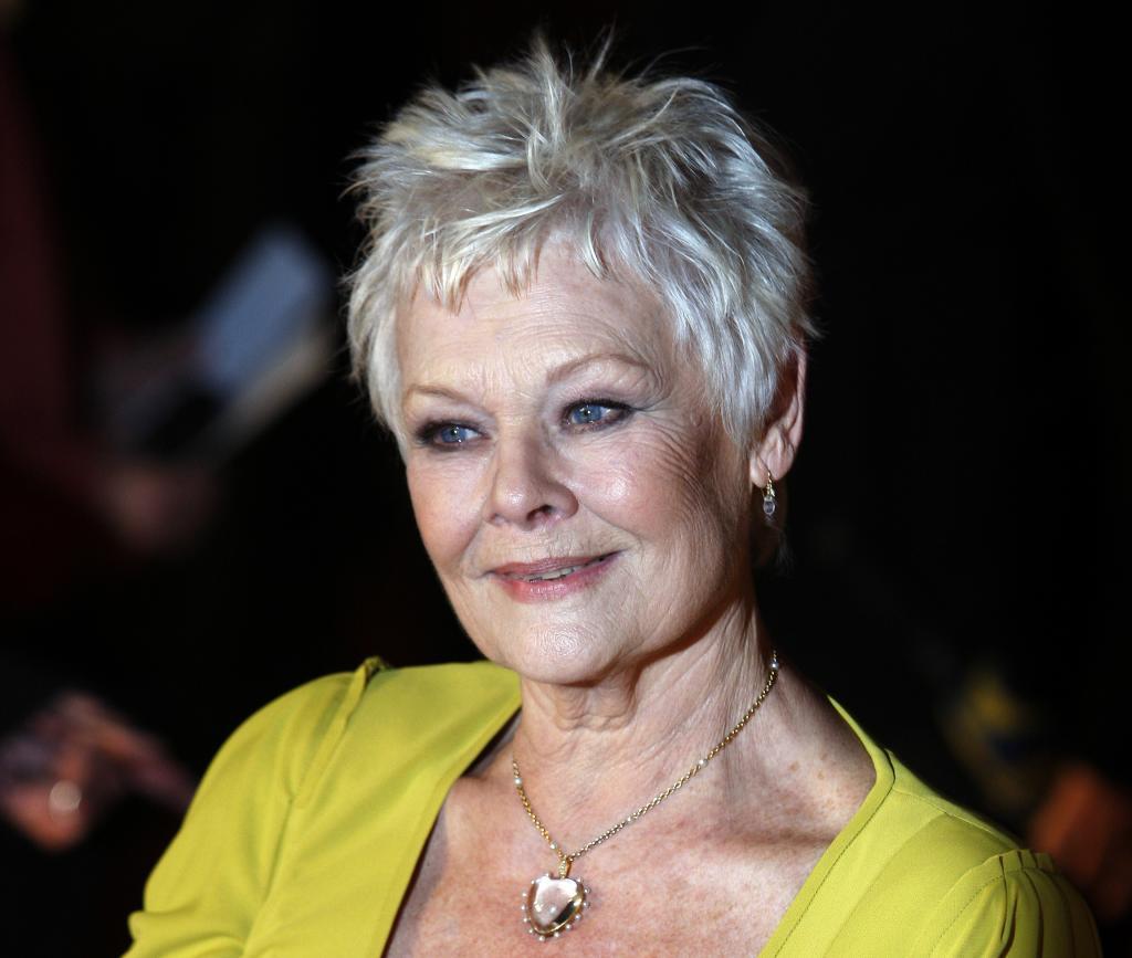 The actress at the presentation of the film 'Nine'.